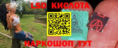 прущие крисы Лесосибирск