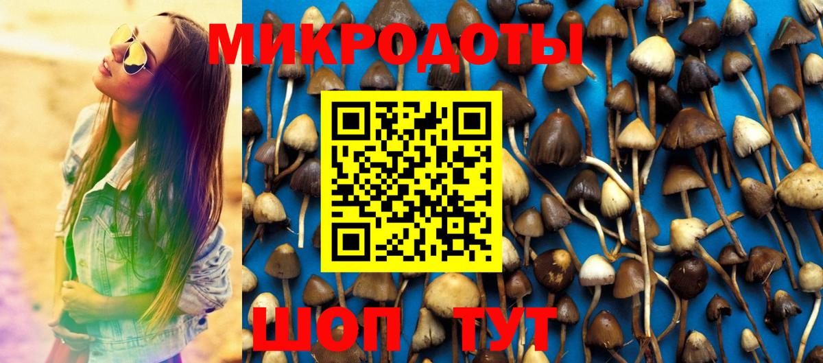 Зеленокумск  Псилоцибиновые грибы MAGIC MUSHROOMS  Вход с VPN  Галлюциногенные грибы GOLDEN TEACHER 