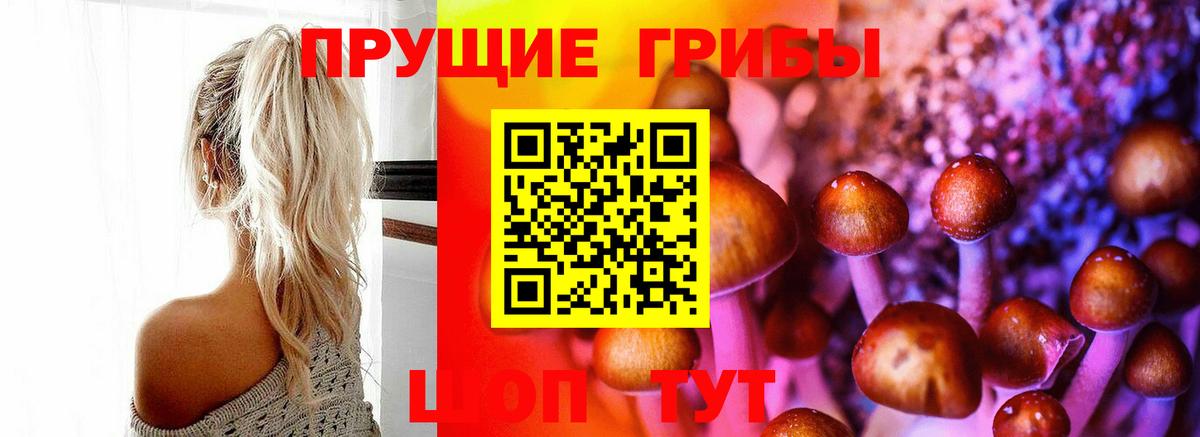 Галлюциногенные грибы мухоморы Зеленокумск